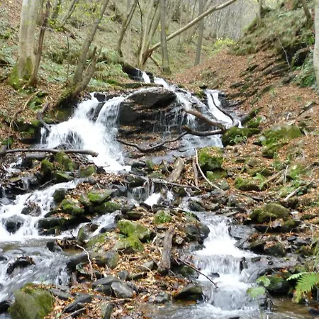 호텔 Landhaus Graefendhron *