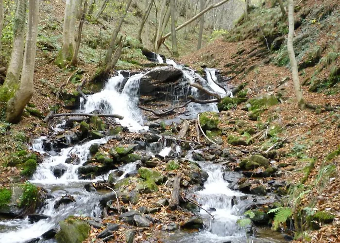 Hotel Landhaus Graefendhron *