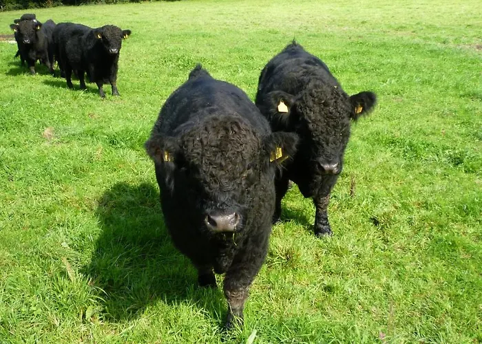 Landhaus Graefendhron Hotel *