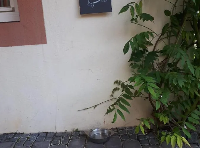 Landhaus Graefendhron * Grafendhron